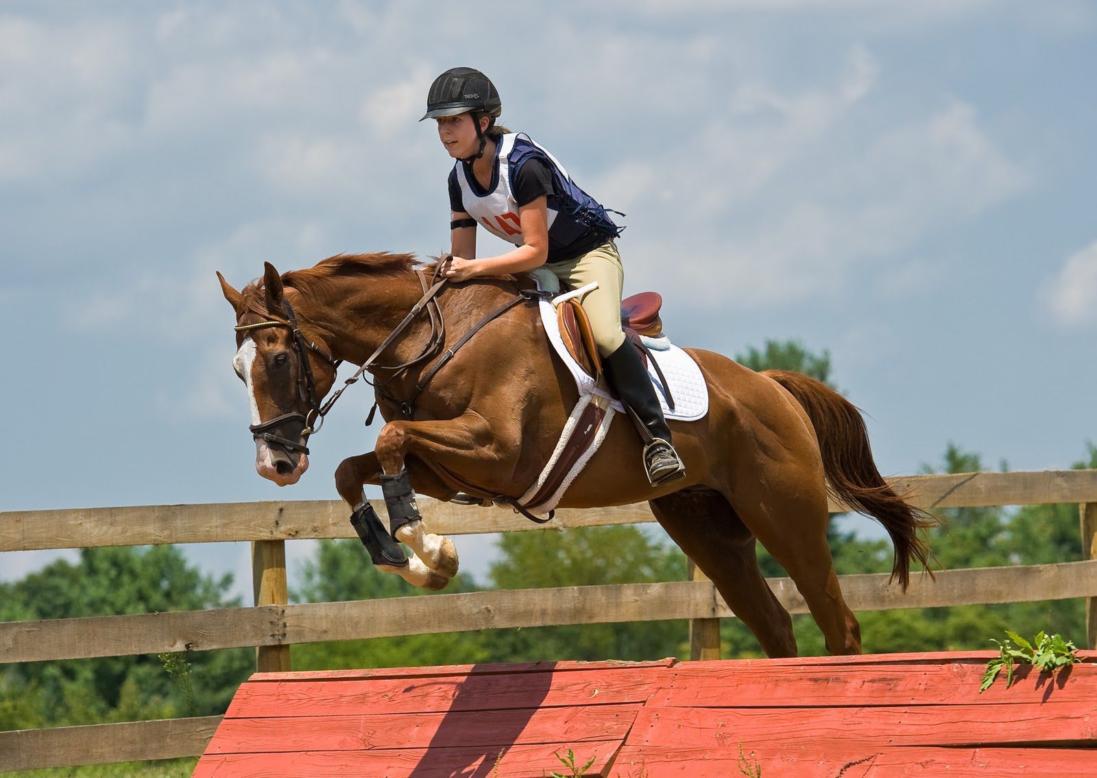 Show Jumping Wallpapers HD Download
