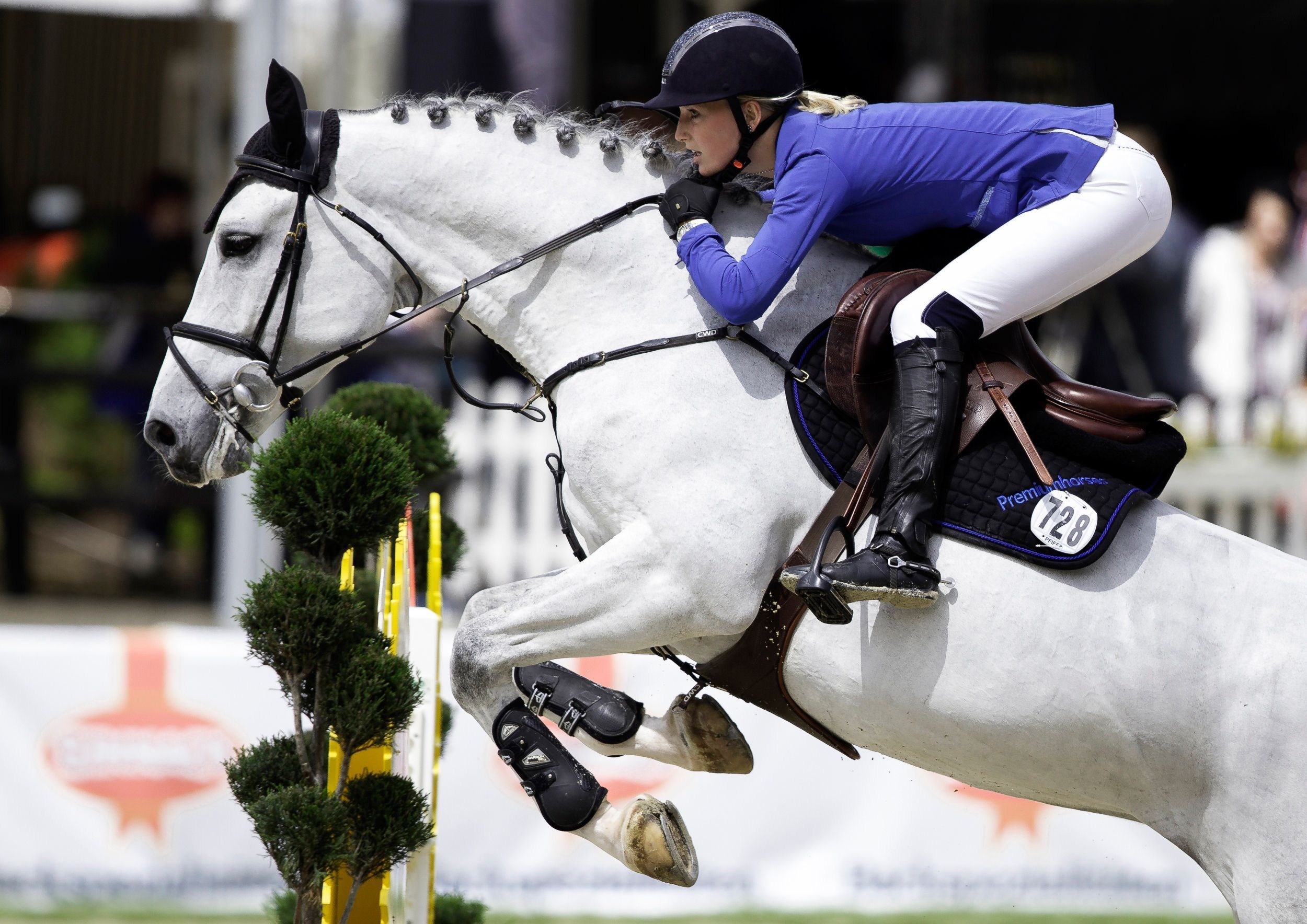 9 Show Jumping HD Wallpapers Backgrounds - Wallpaper Abyss