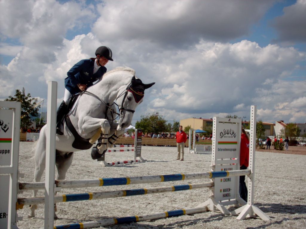 Pictures Of Horses Jumping - Wallpaper HD Base