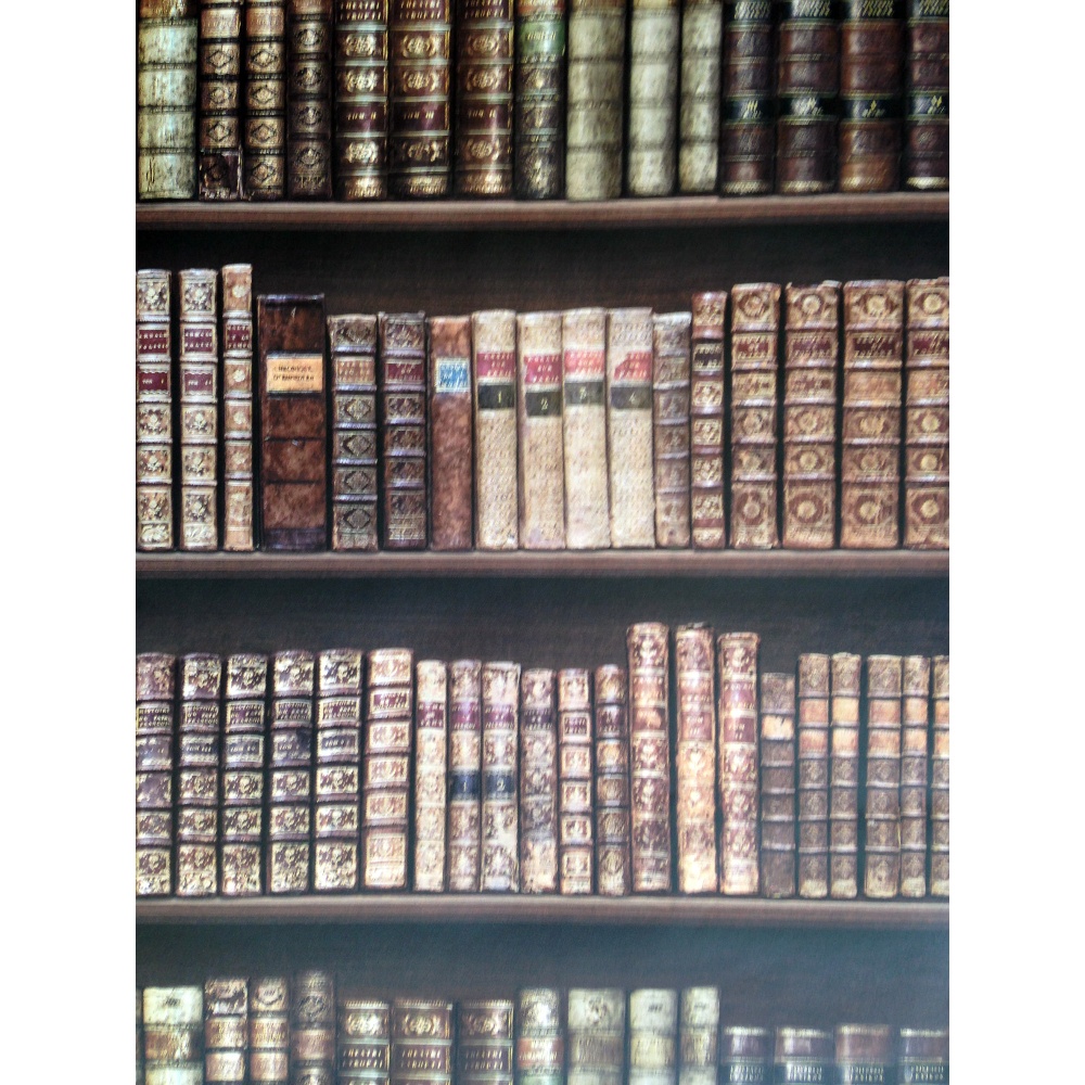 Direct Bookcase Classic Leather Books Library Mural Wallpaper 575208