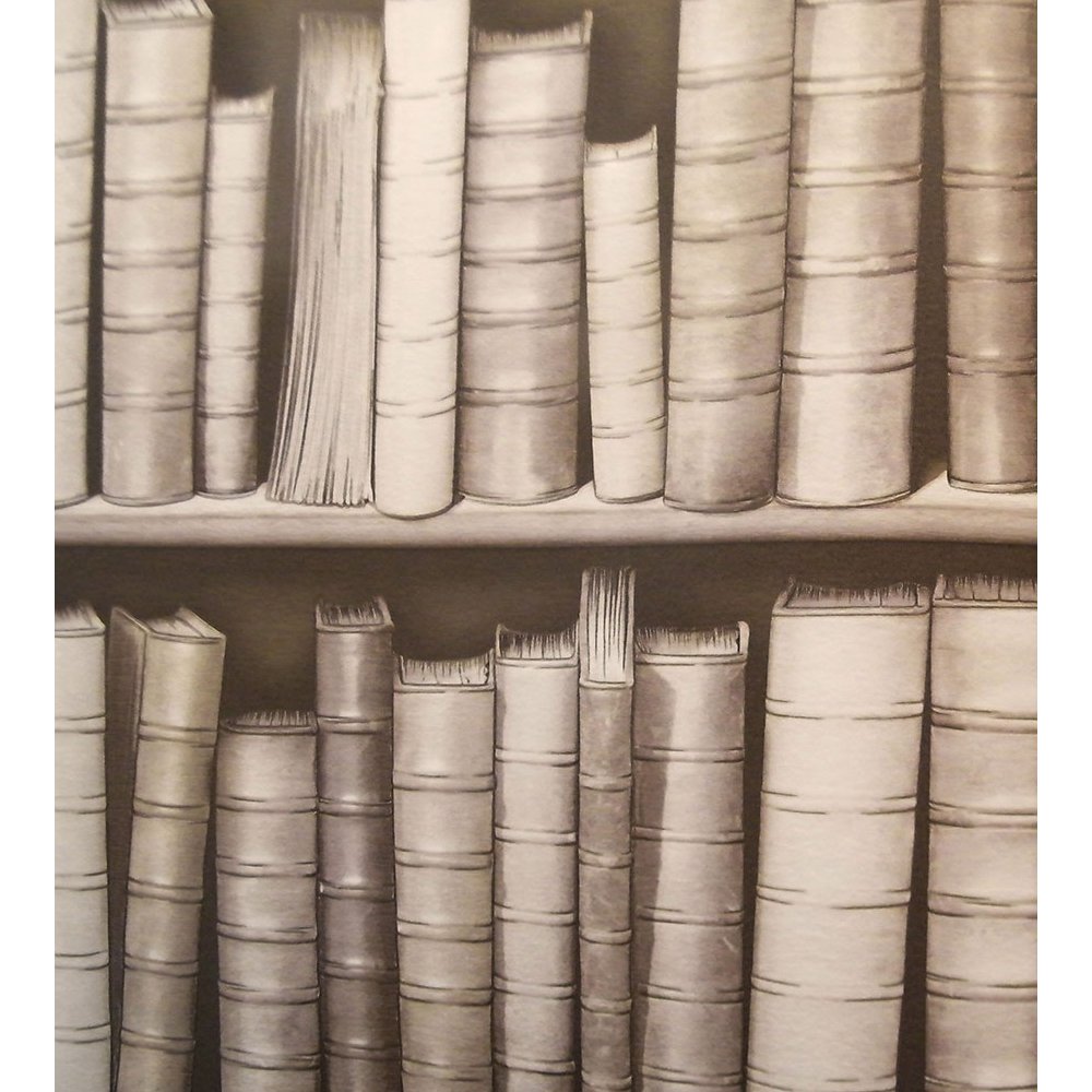 Muriva Bluff Bookcase Pattern Library Embossed Vinyl Wallpaper F92307
