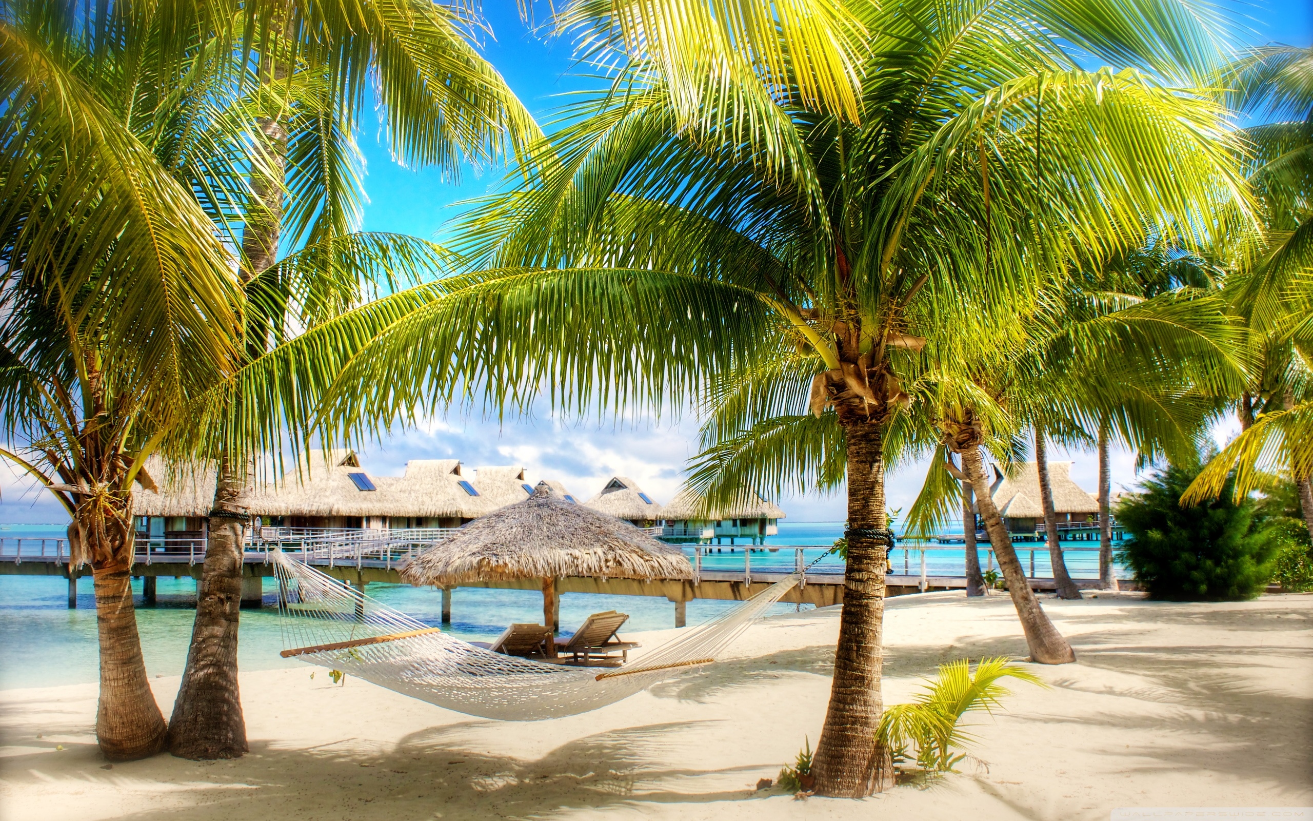 Tropical Beach Resort HD desktop wallpaper High Definition