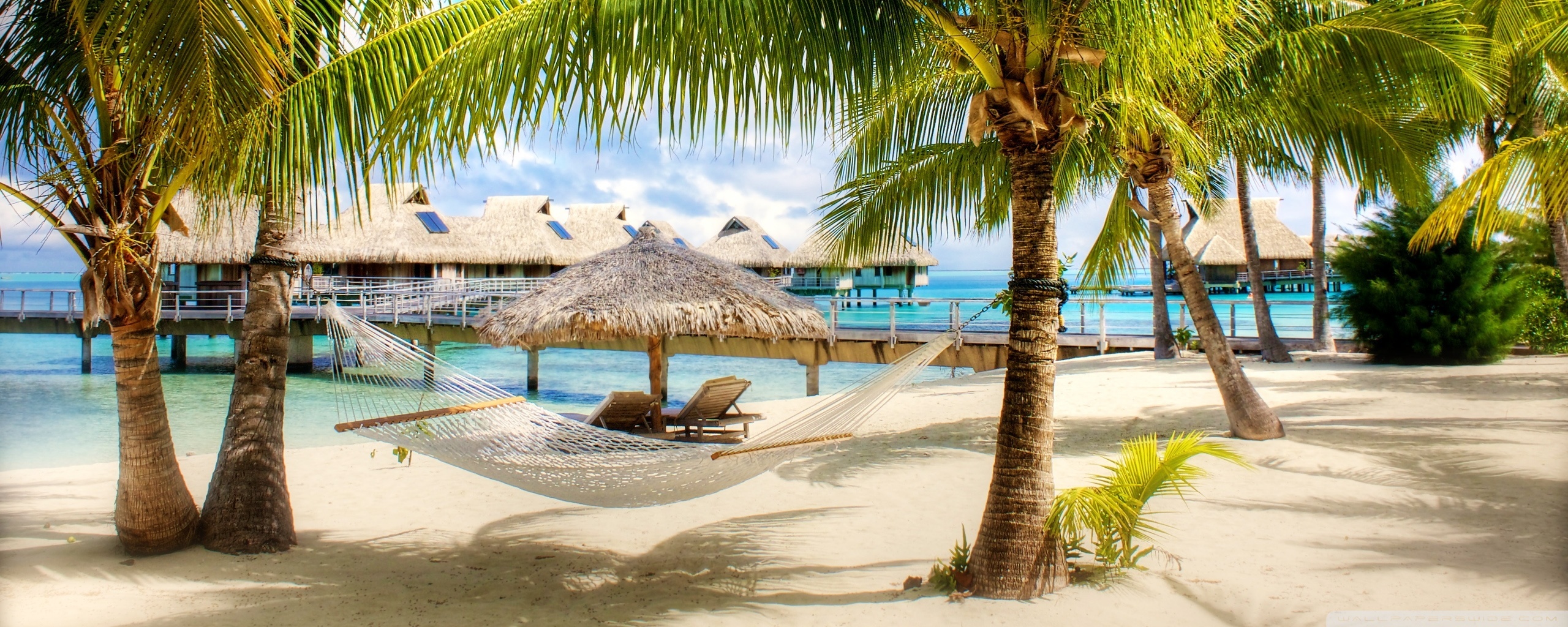 Tropical Beach Resort HD desktop wallpaper : High Definition ...