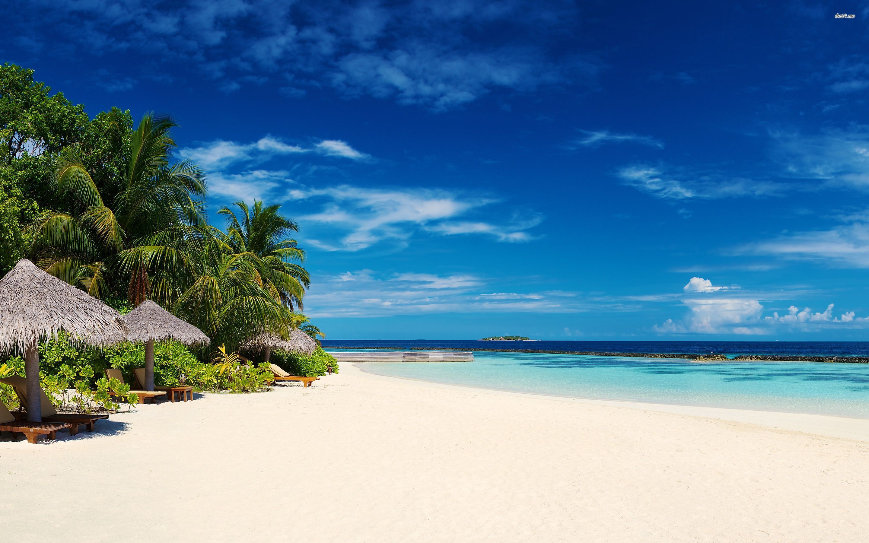Beach Resort- Wyndham Ocean Palms Resort Pompano ach