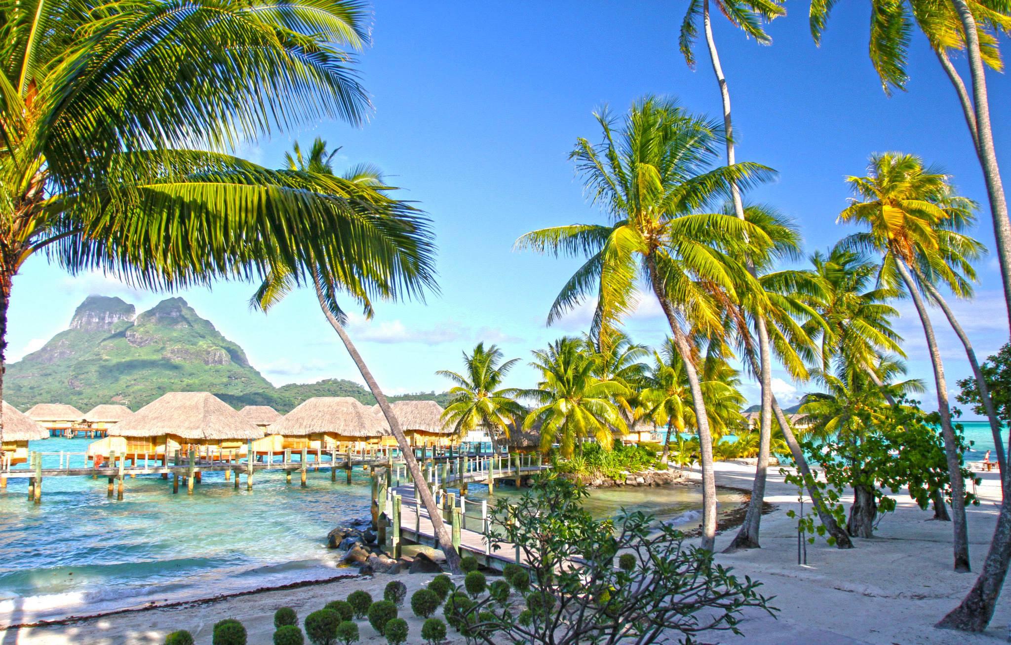 Beautiful pearl beach resort bora bora tropical island polyneisa ...