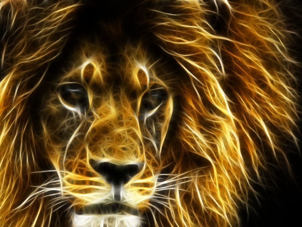 Another lion Wallpaper yvt2