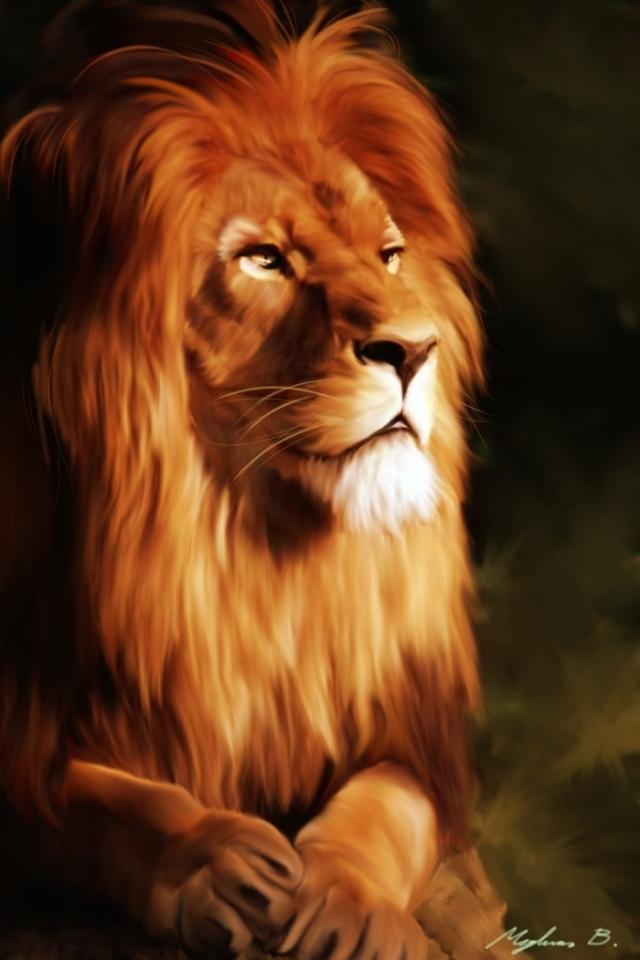 Lion Iphone 4 Wallpapers 640x960 Cell Phone Backgrounds