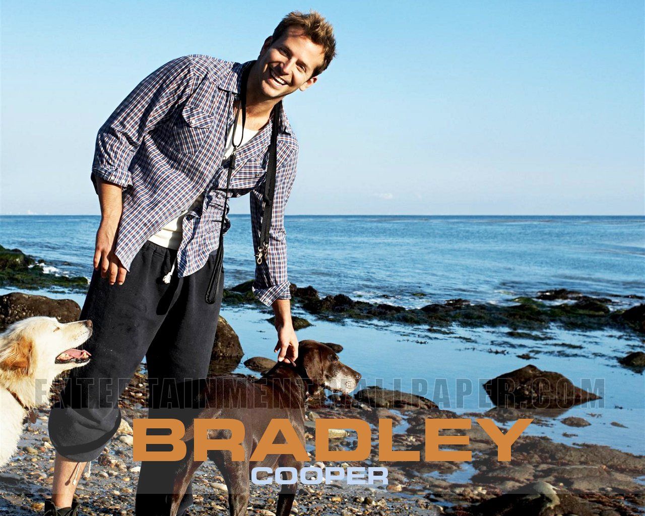 Bradley cooper - Bradley Cooper Wallpaper 23904577 - Fanpop