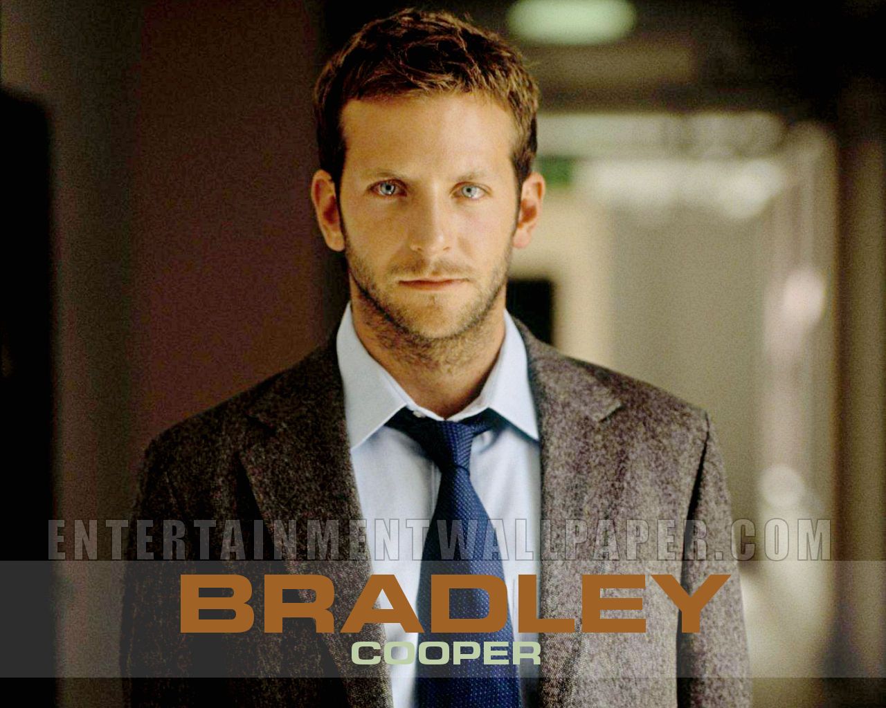 bradley_cooper - Bradley Cooper Wallpaper (23904524) - Fanpop