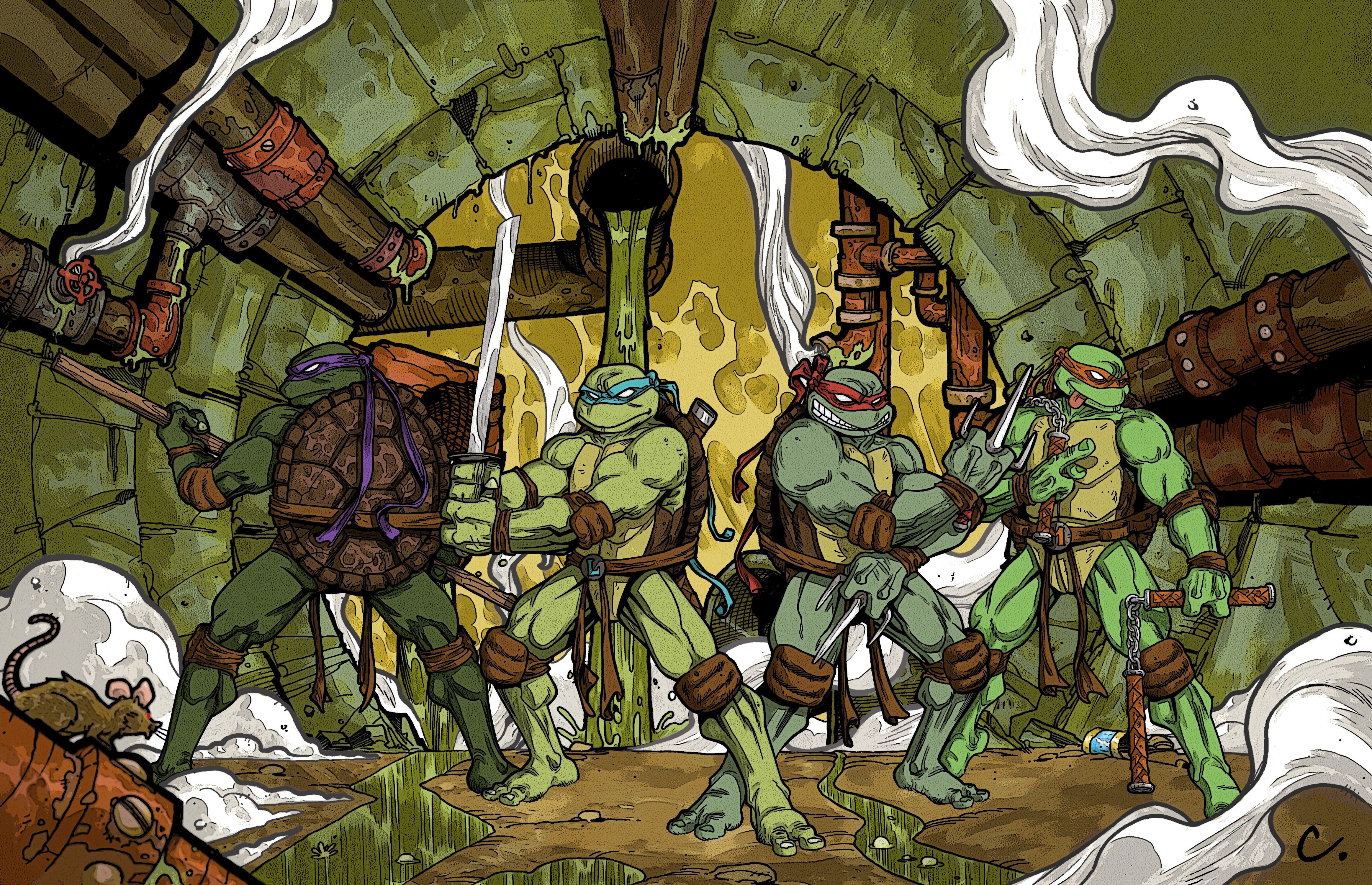 Teenage Mutant Ninja Turtles Warrior Cartoon j wallpaper ...