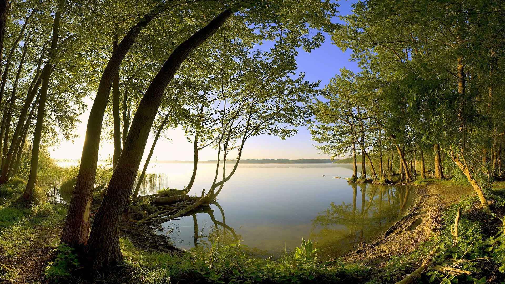 Beautiful Nature Lake Trees Free HD Wallpapers