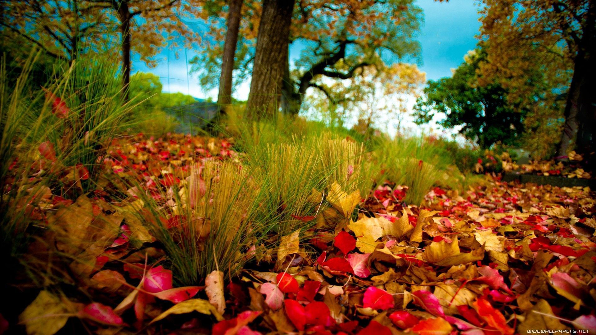 Nature Wallpapers - HD Desktop Backgrounds - Page 2