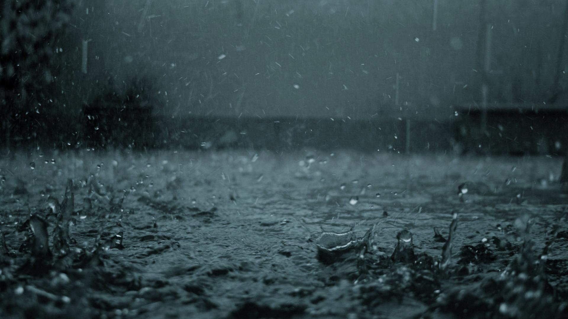 Rainy Nature HD Wallpaper, Rainy Nature Images | Cool Wallpapers