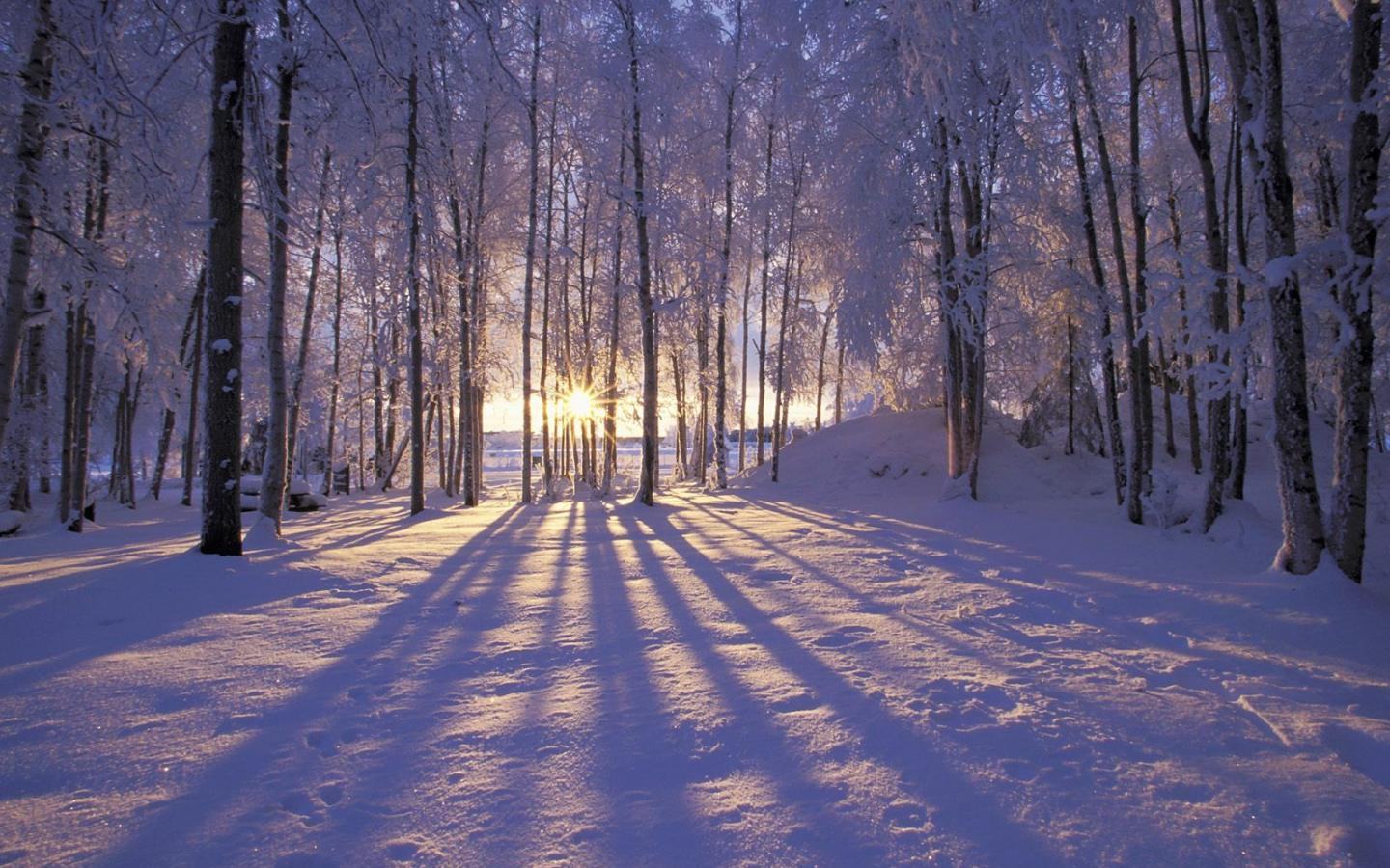 Winter Wallpapers Backgrounds - Download free winter natures wint