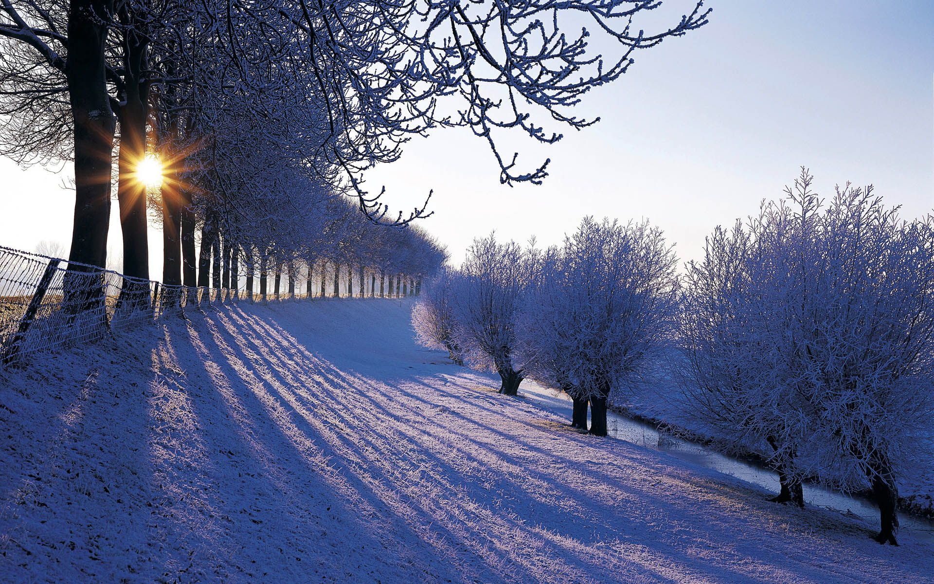 Winter Snow Wallpapers | Wallpapers, Backgrounds, Images, Art Photos.