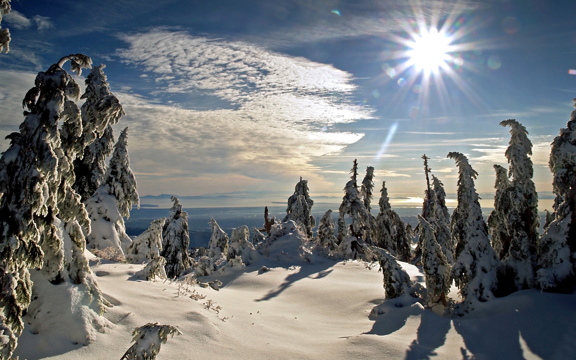 Free Winter Sun Wallpapers | Wallpapers, Backgrounds, Images, Art ...