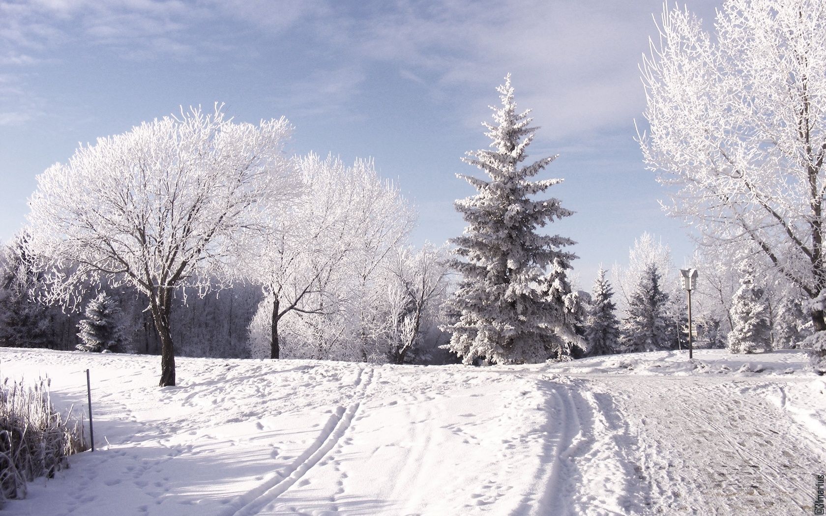 Winter | HD Wallpapers | Pictures | Images | Backgrounds | Photos