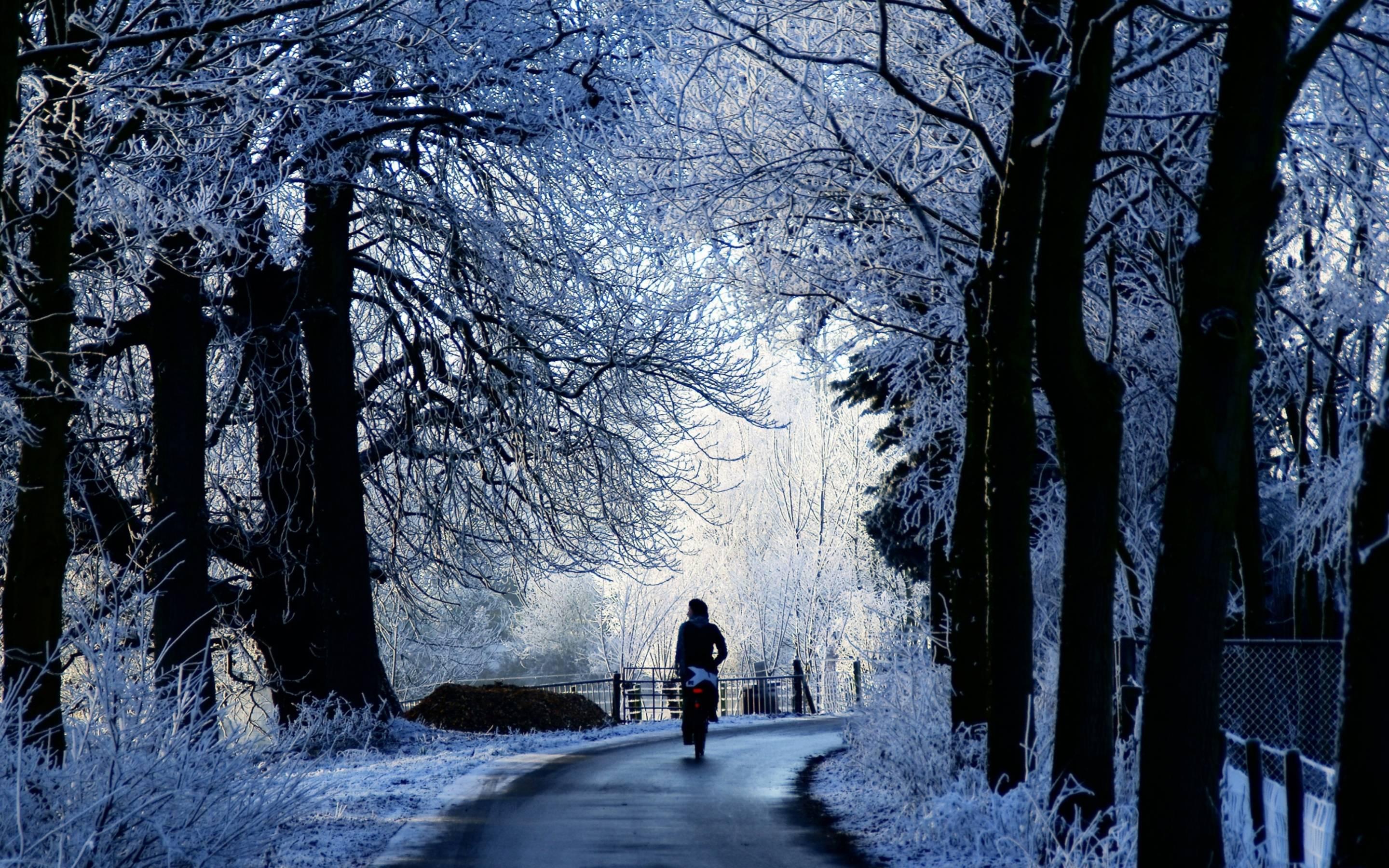 Winter Road Scene Mac Wallpaper Download Free Mac Wallpapers | HD ...