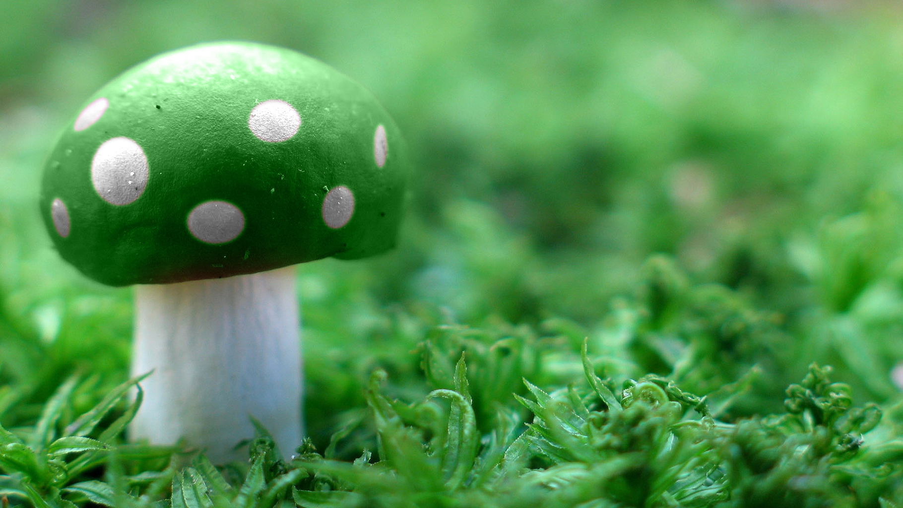 Download Amazing 3D Mushroom Free UHD for android, Amazing 3D
