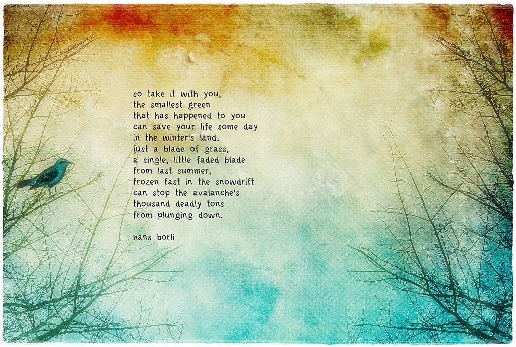 ruby blossom background and hans borli poem | Flickr - Photo Sharing!