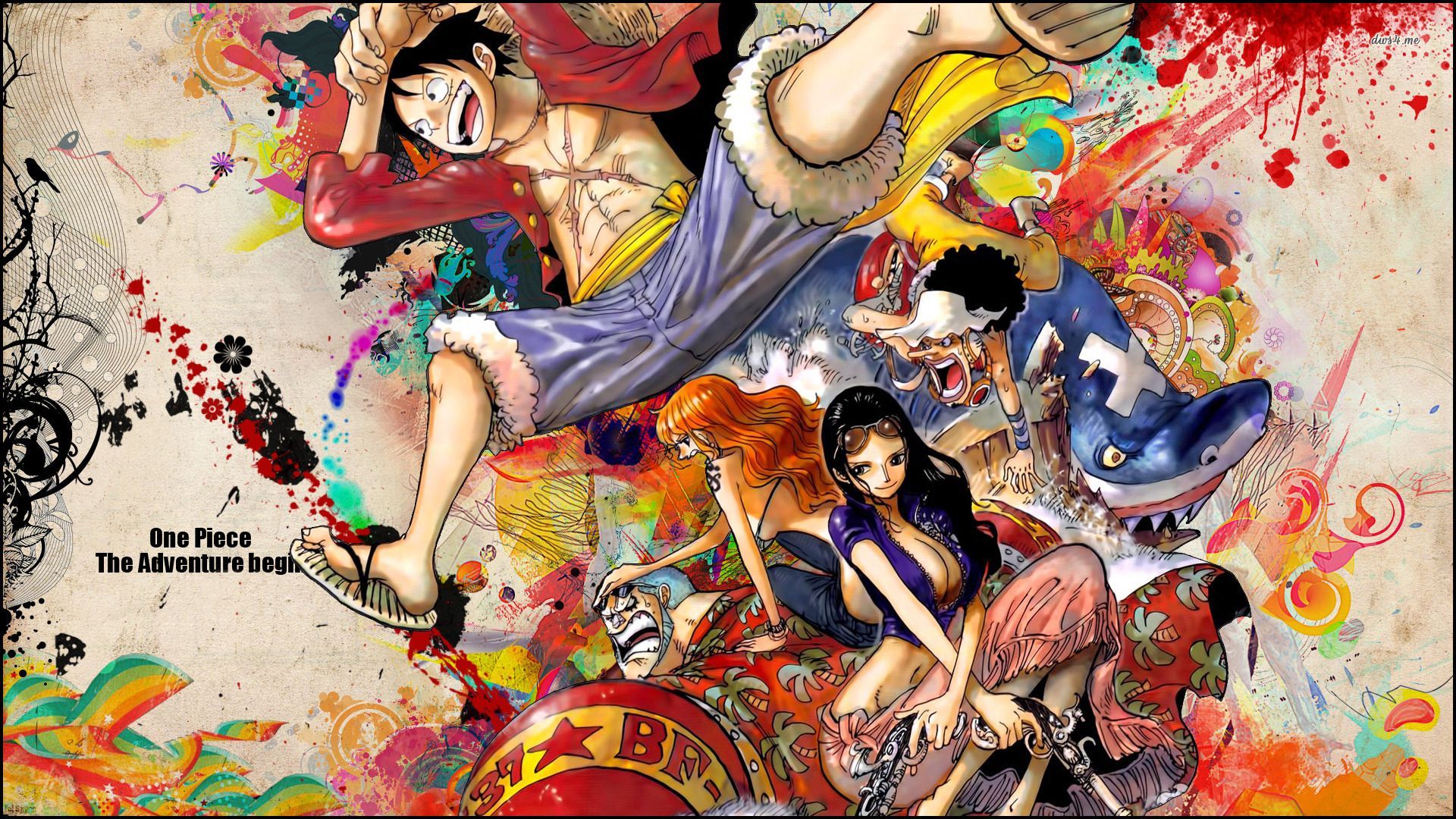 One Piece on Pinterest | Hd Wallpaper, Wallpapers and Boas