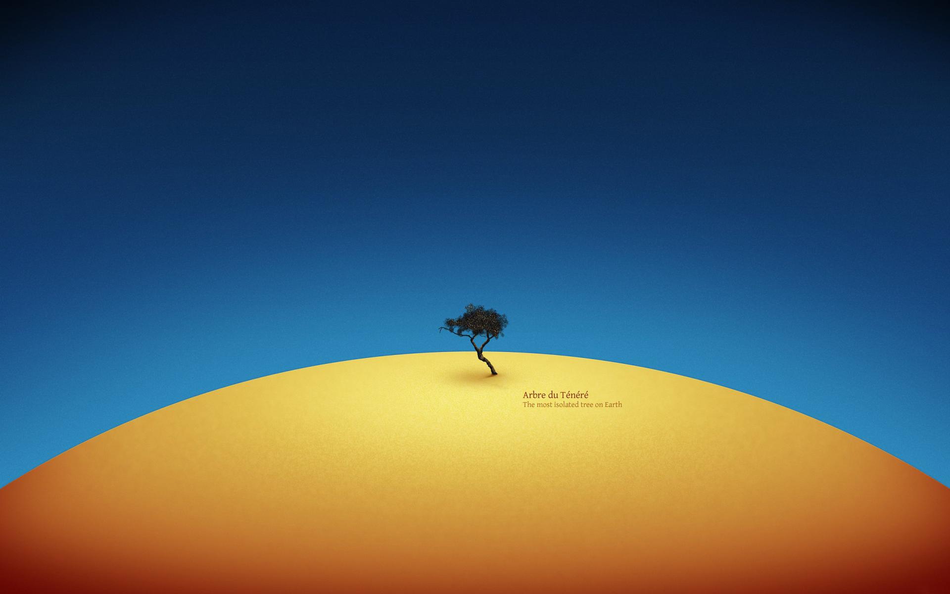 the most isolated tree on earth best hd wallpaper 1920x1200 hd ...