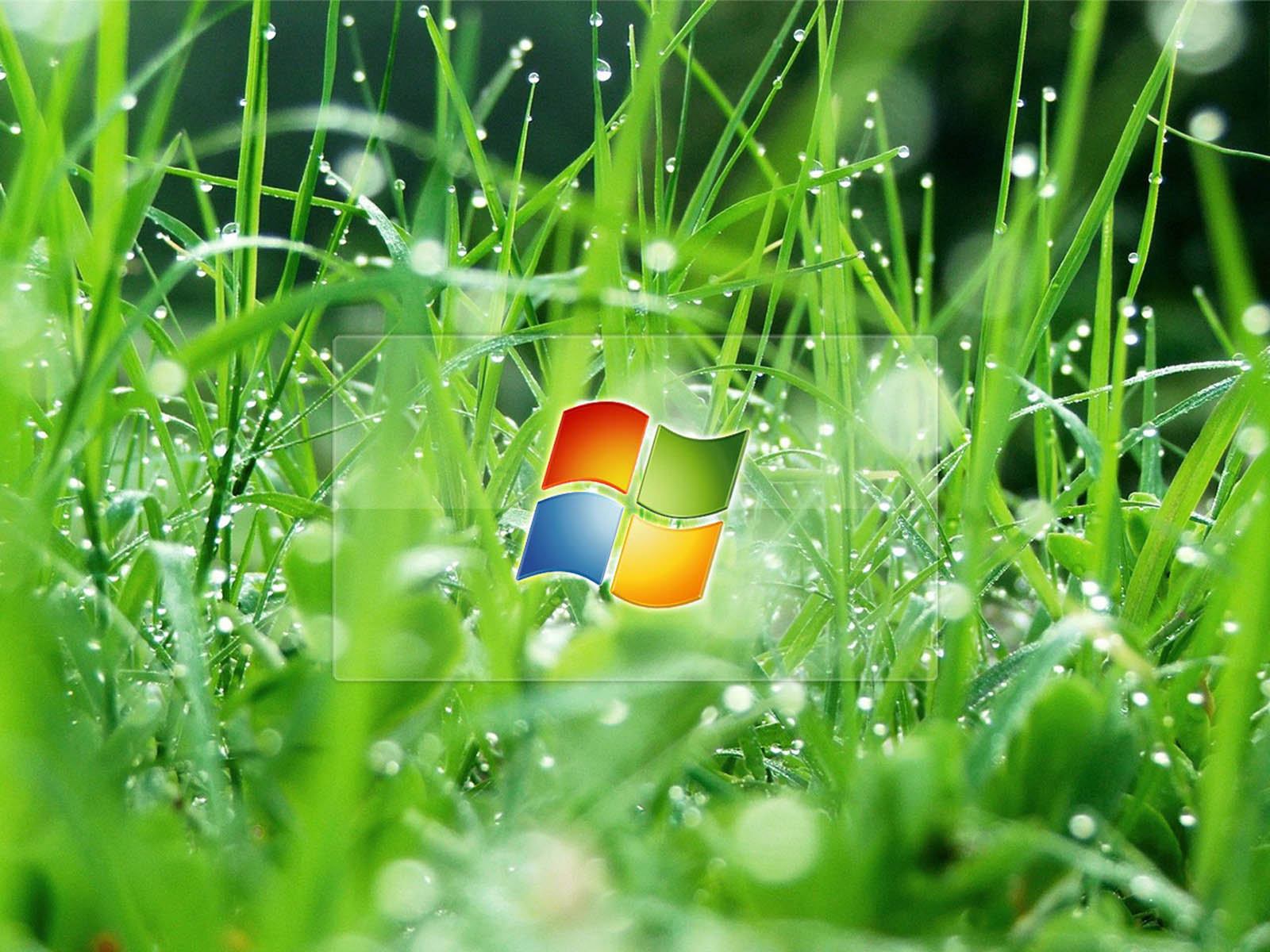 wallpaper: Windows XP Wallpapers And Backgrounds