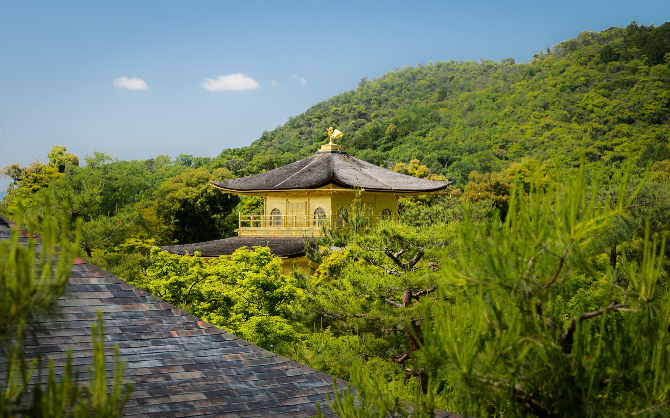 Jeffrey Friedls Blog Discovering Kyotos Wonderful Toji in