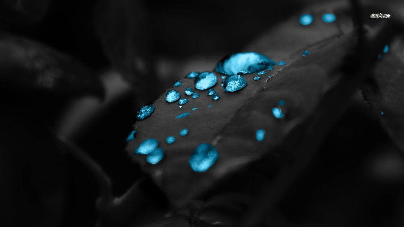 Blue water drops on a dark leaf wallpaper - Digital Art wallpapers ...