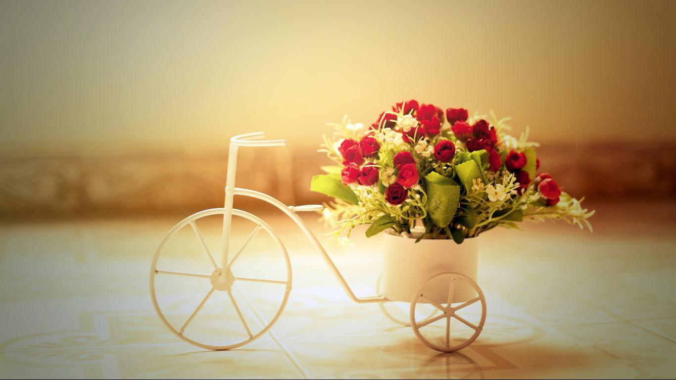Romantic,roses,bicycle widescreen desktop wallpaper 1366x768 hd ...