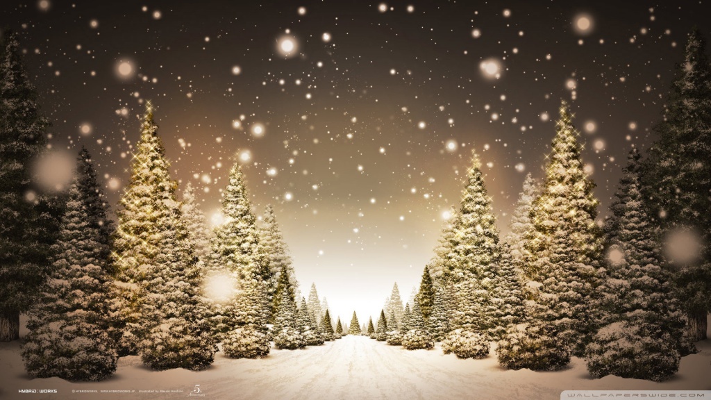Christmas Forest HD desktop wallpaper : Widescreen : High ...