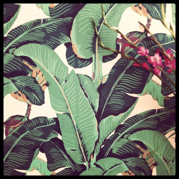 HOME STYLE: Martinique Wallpaper - Personal Stylist | Style by ...