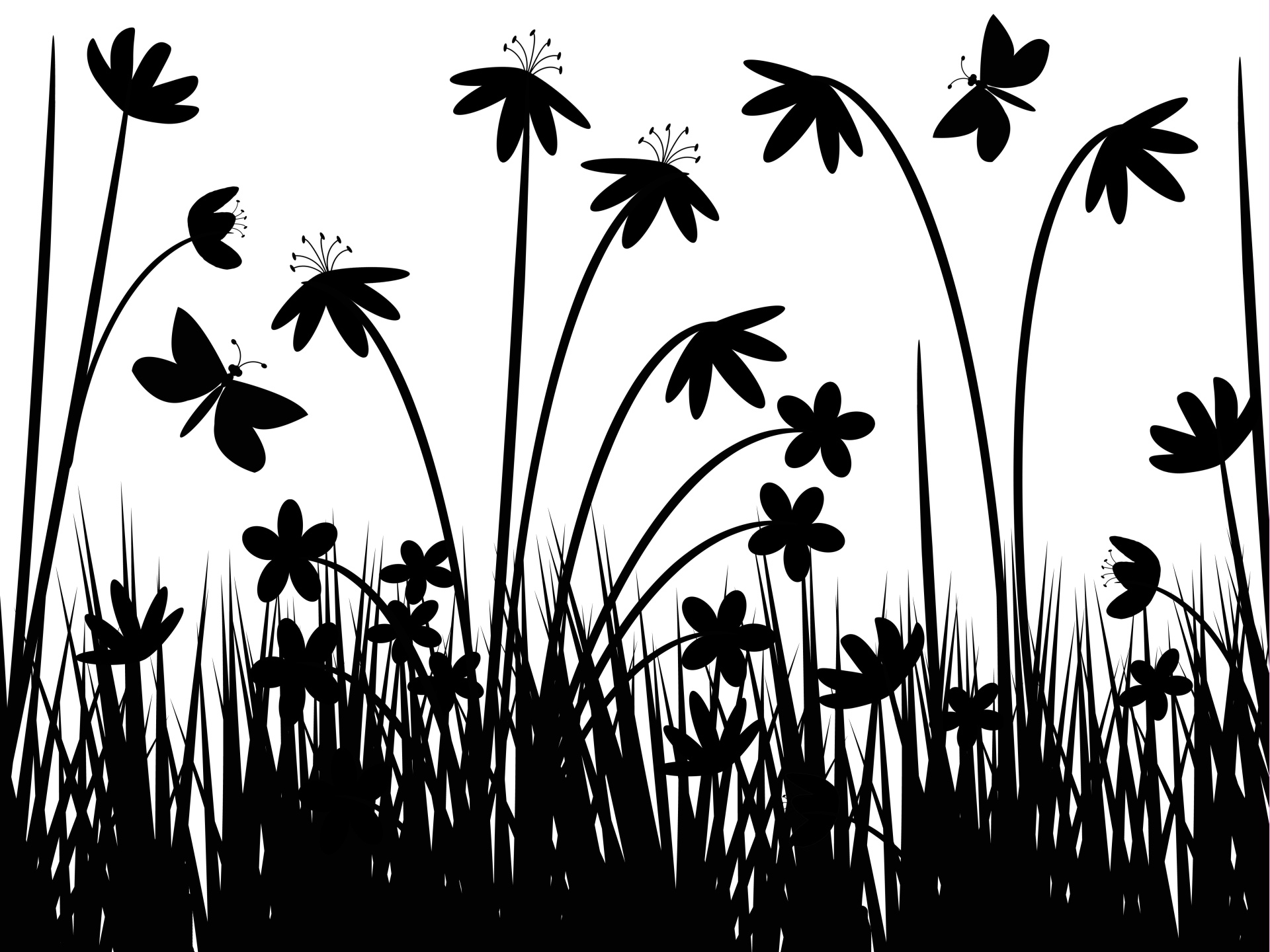 Greyscale flowers wallpapers | Greyscale flowers stock photos