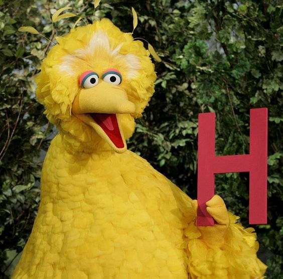 Big Bird and the letter H | Big Bird | Pinterest | Big Bird, Birds ...