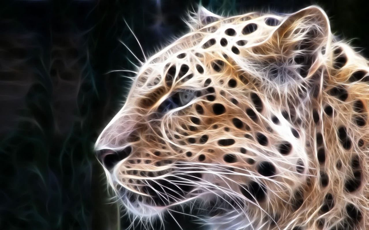 Download Cats Digital Big Cats Desktop Wallpaper | Full HD Wallpapers