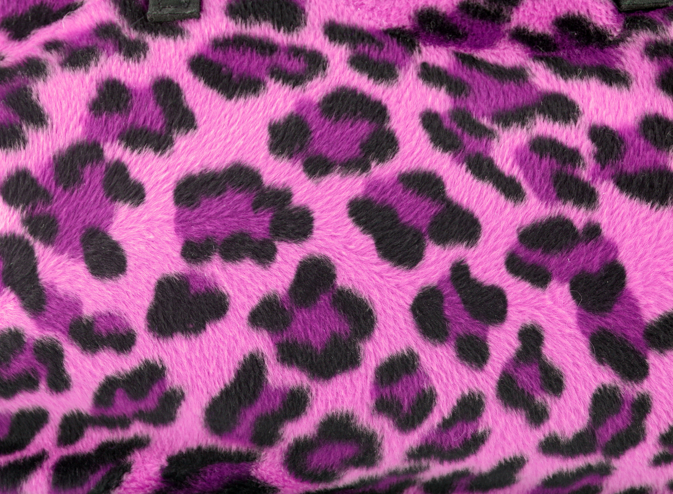 Leopard Print Wallpaper - Best Car 2015