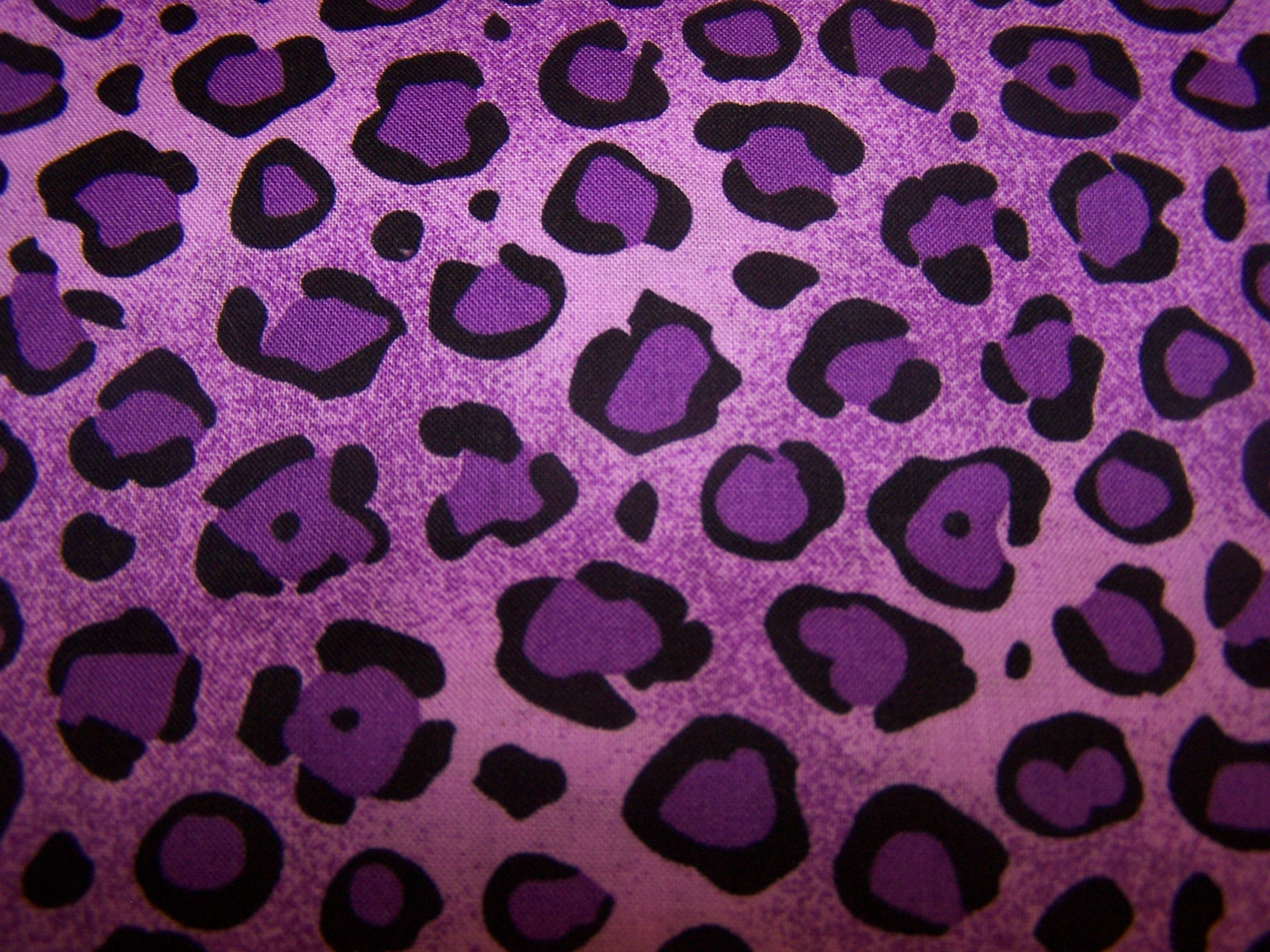 Alfa img - Showing > Blue and Purple Cheetah Wallpaper