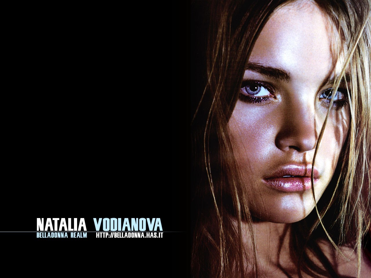 Desktop Wallpapers - Natalia Vodianova - Models | Free Desktop ...