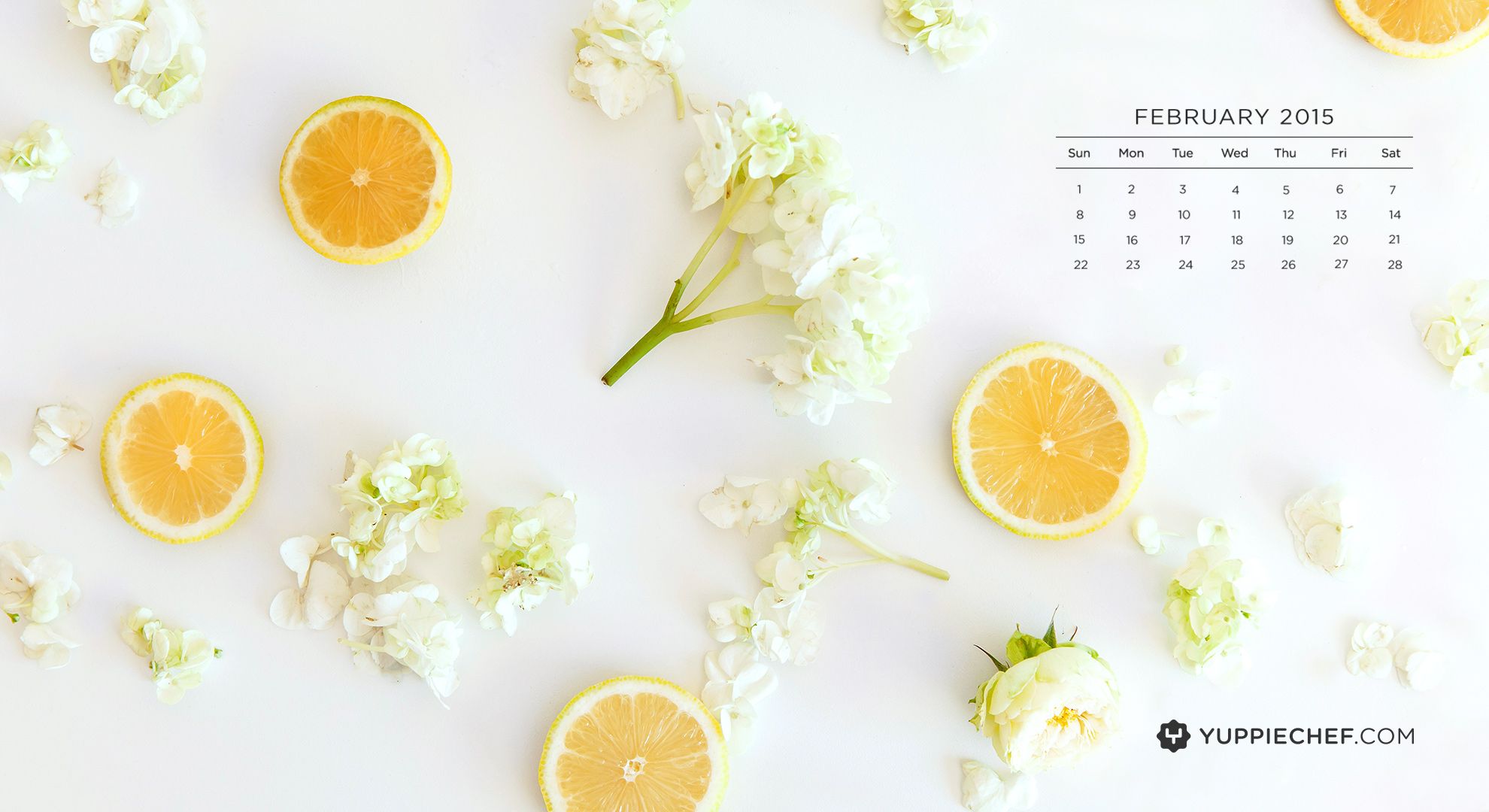 February's wallpaper: a citrus squeeze for your screen ...