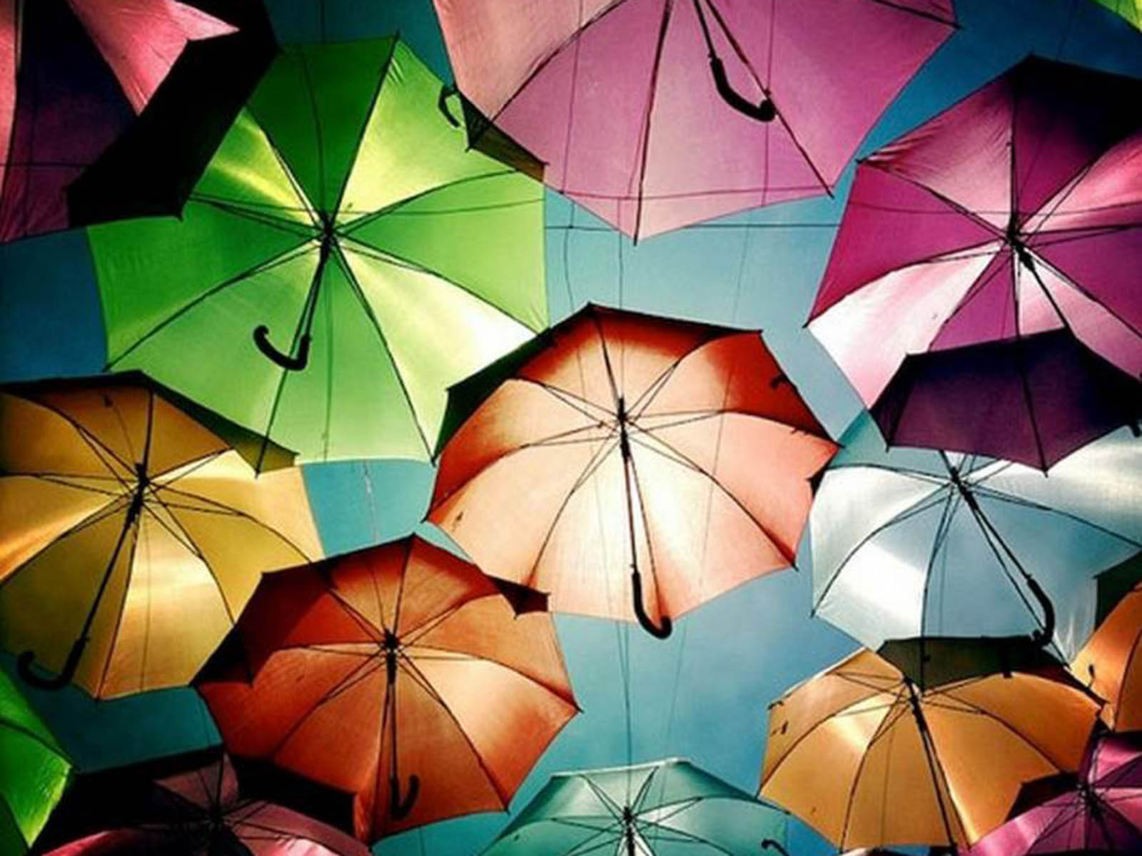 wallpaper: Colorful Umbrellas