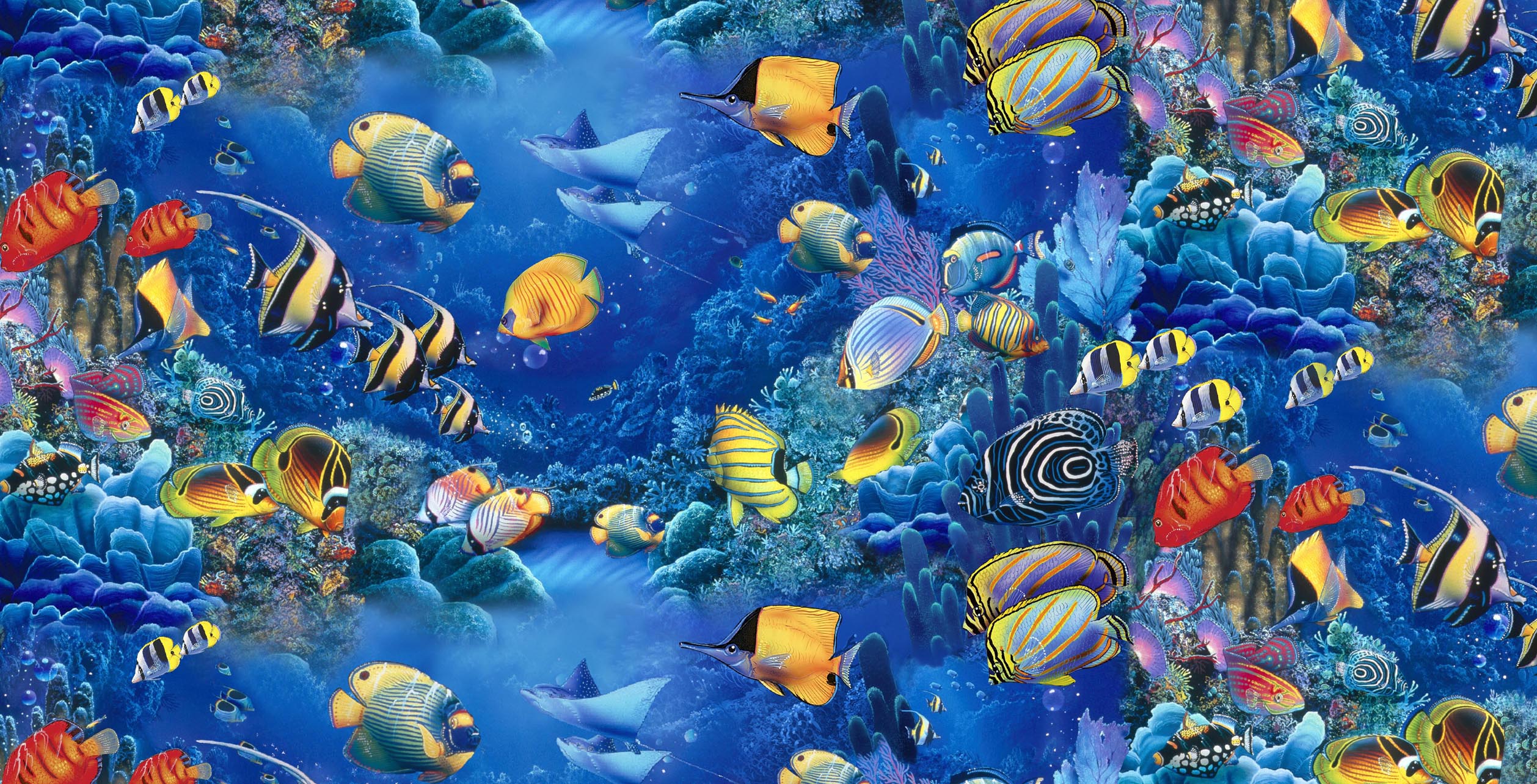 Download Fish The Sea Colorful Wallpaper 2516x1284 | Full HD ...