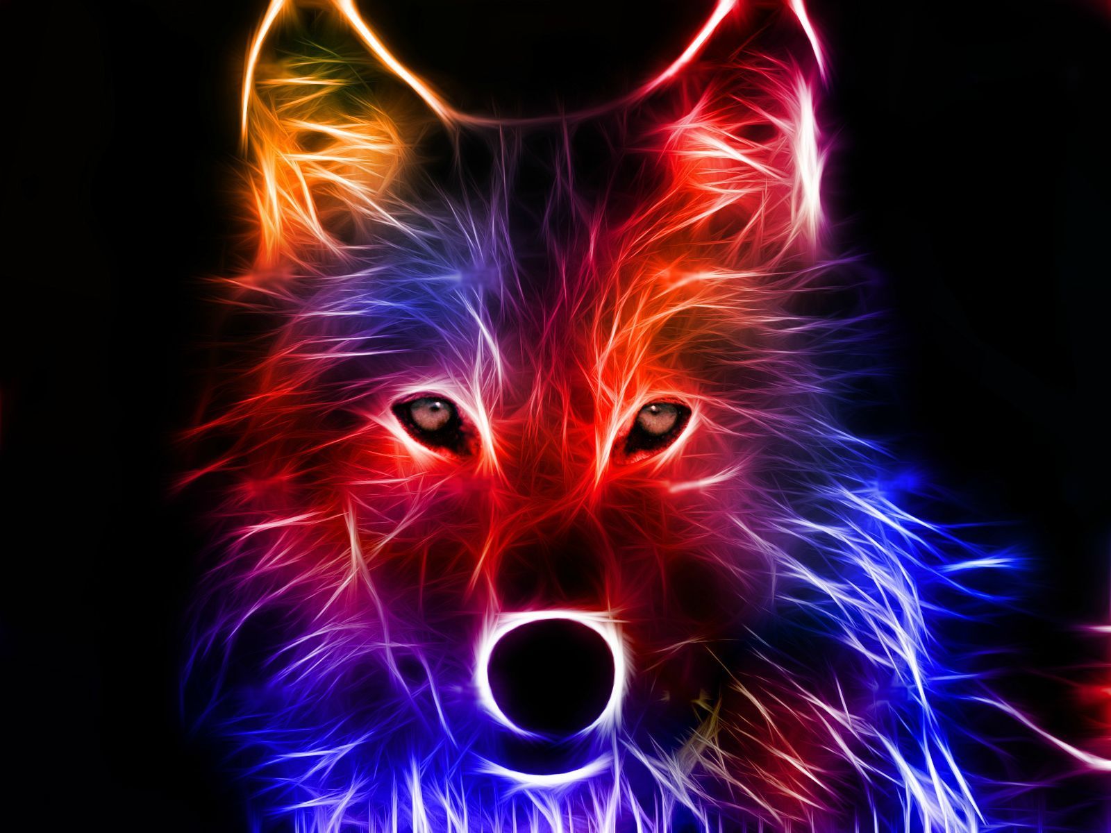 Colorful Illuminated Wolf, Wallpaper 3D #4234923, 1600x1200 | All ...