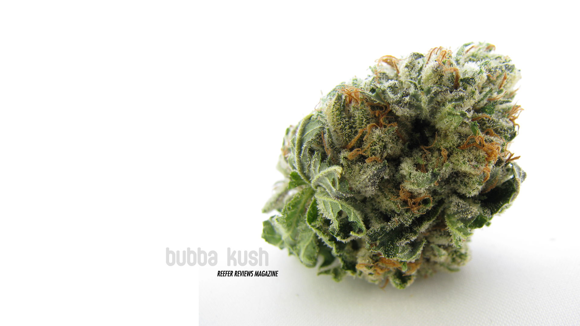 Wallpapers Kush Below To The Latest From Reefer Reviews Magazine ...