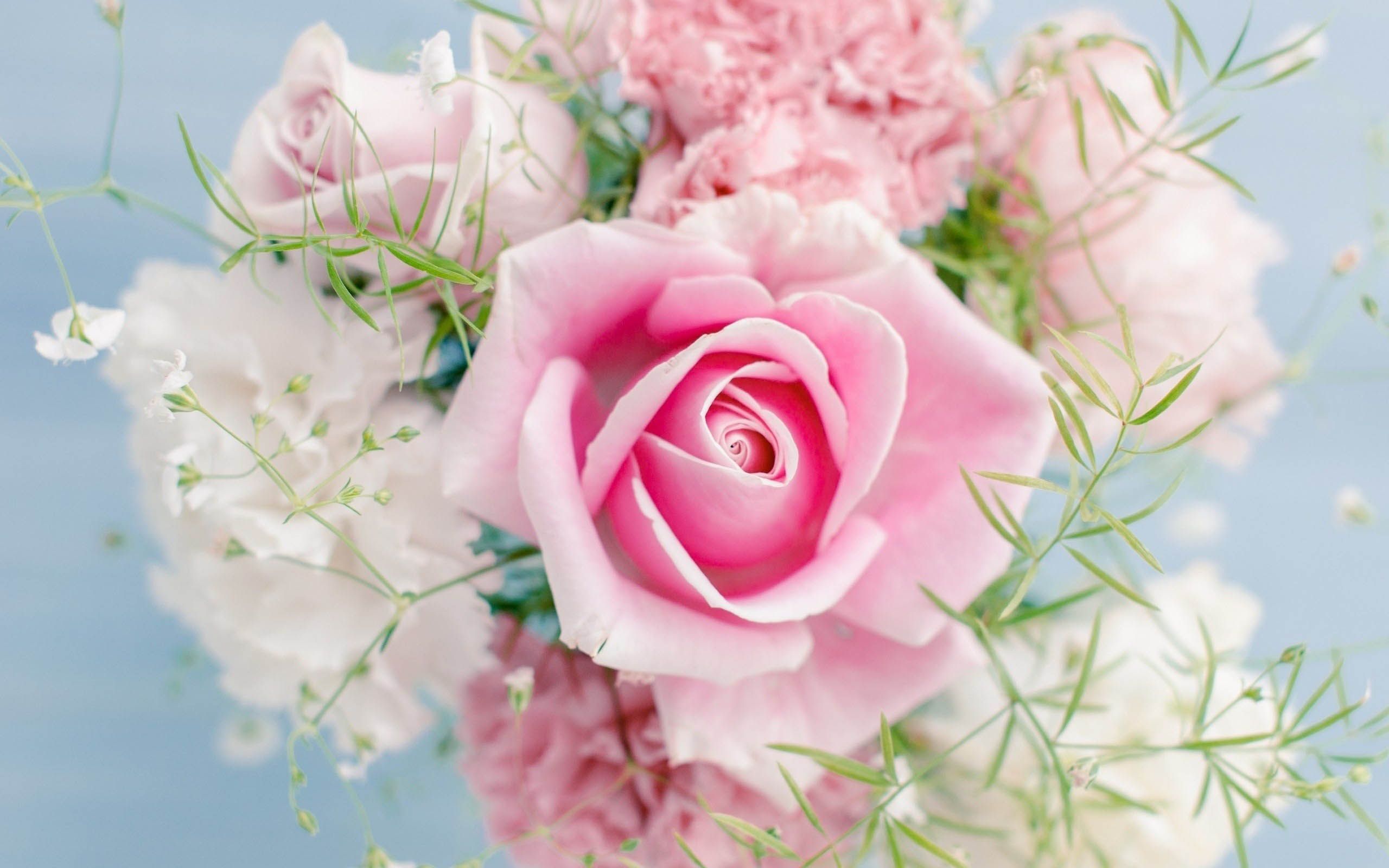 Most Beautiful Flowers Sweet Wallpaper | MT-WallPapers