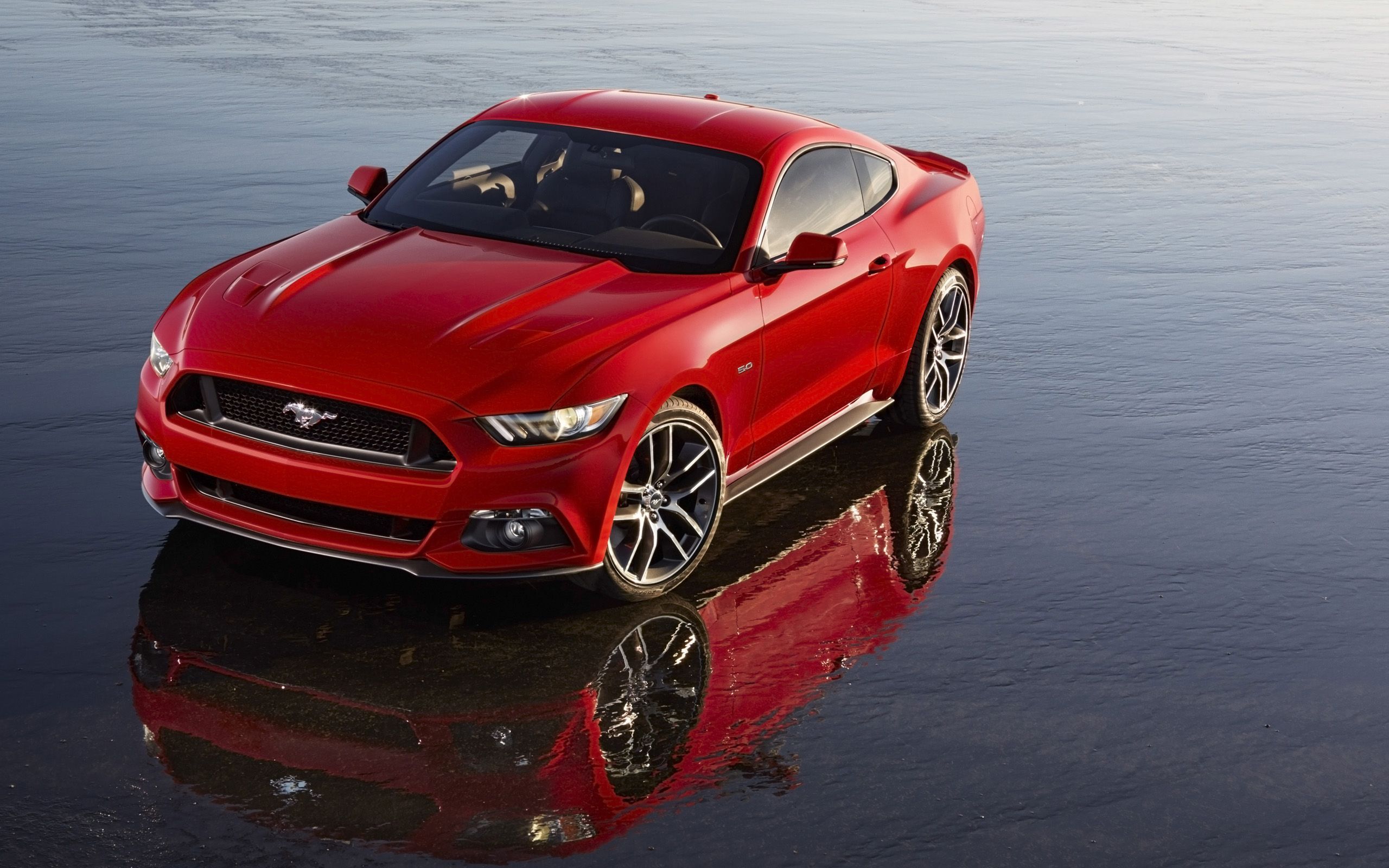 2015 Ford Mustang Wallpaper HD Car Backgrounds
