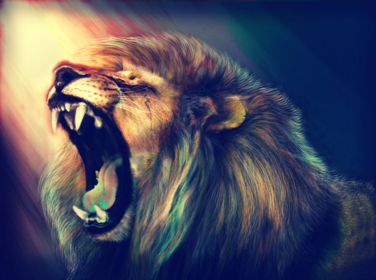 794 Lion HD Wallpapers Backgrounds - Wallpaper Abyss