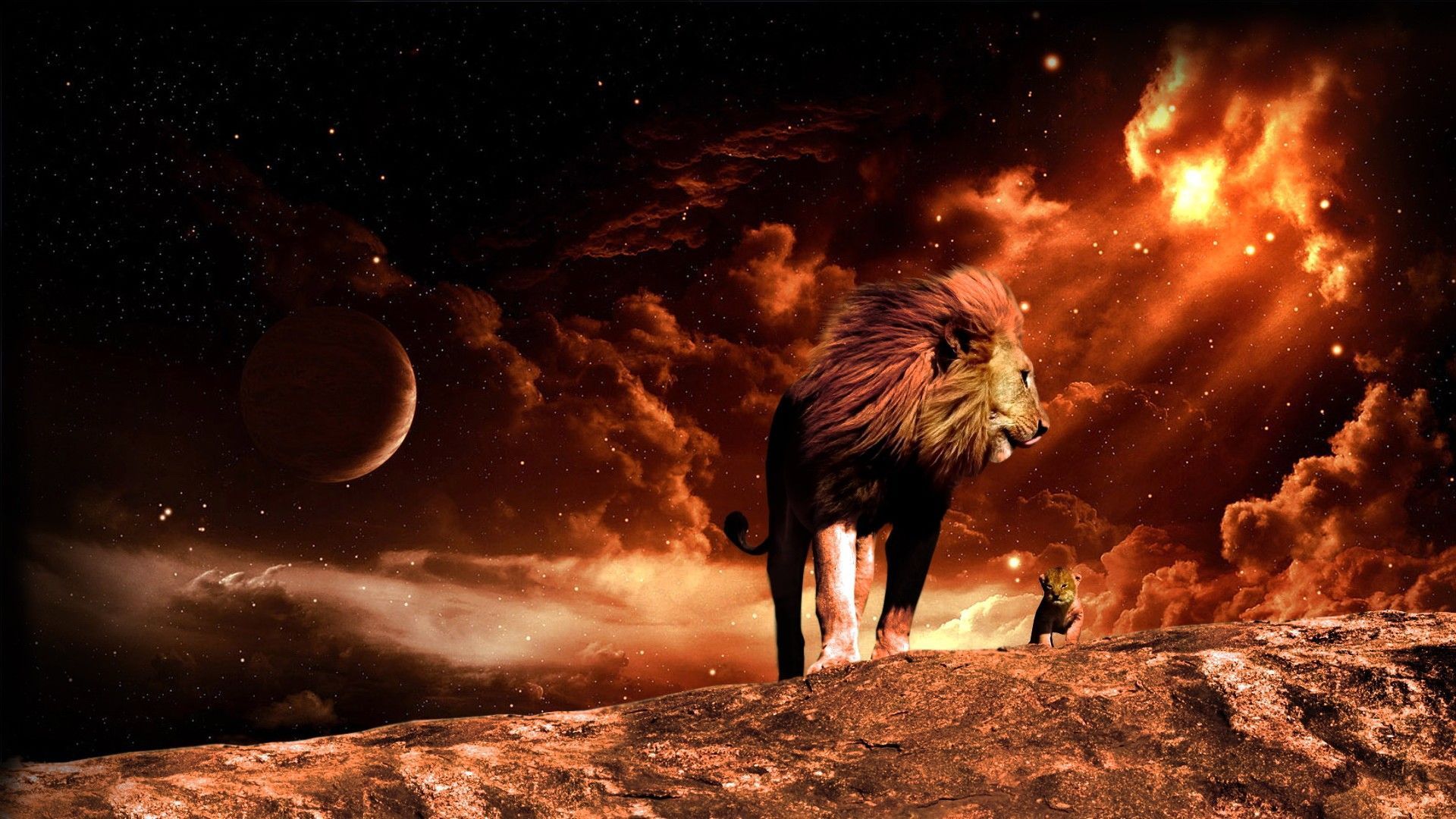13 Lion HD Wallpapers Backgrounds - Wallpaper Abyss