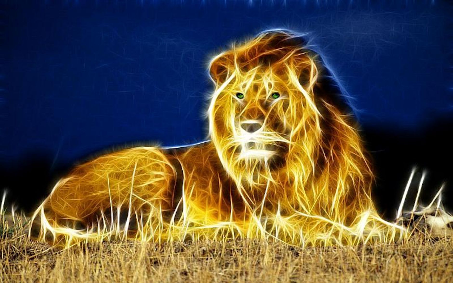 Hd Lion Wallpapers Group