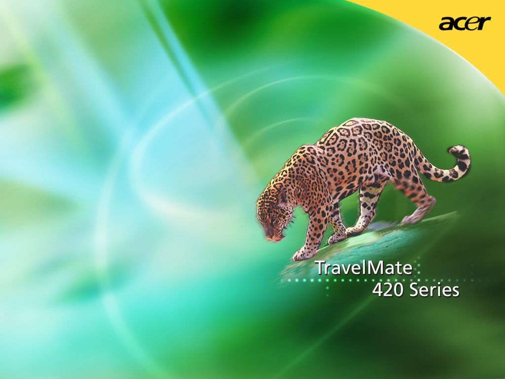 Acer Travelmate 420 Series Leopard Wallpaper D #7608 Wallpaper ...