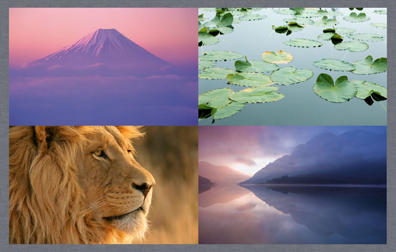 Download Mac OS X Lion DP3 Wallpapers on CrystalXP.net - Wallpapers